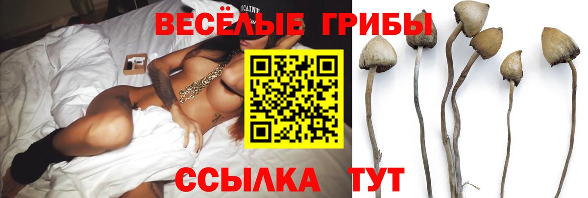 Псилоцибиновые грибы Psilocybine cubensis Еманжелинск